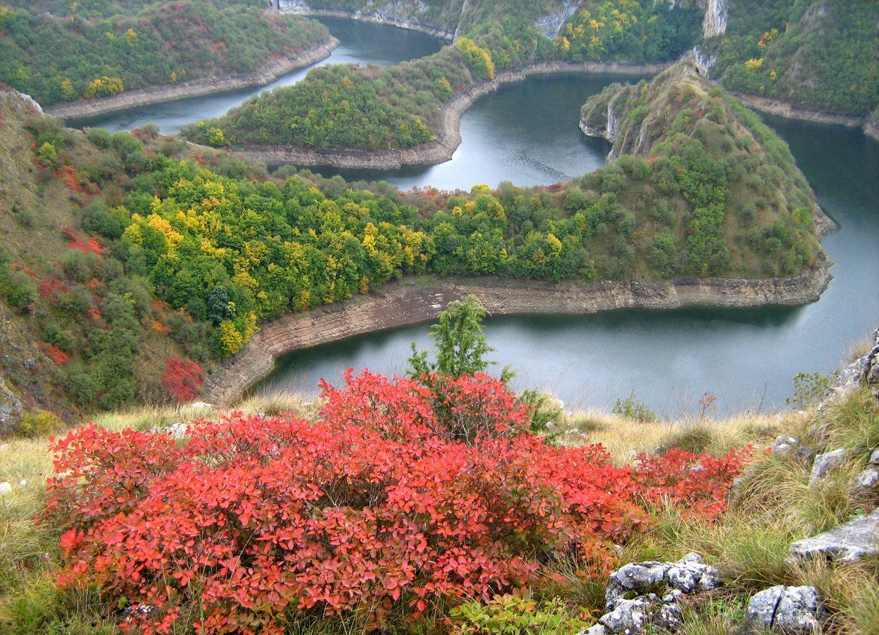 B&B Hisar International Prijepolje Bagian luar foto